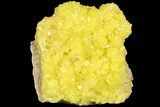 Sulfur Crystals on Matrix - Bolivia #66298-1